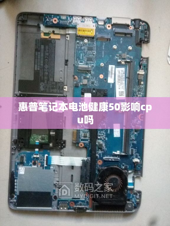 朴树下山桩如何栽活 朴树下山桩如何栽活