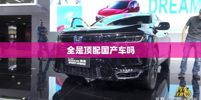 土球发货的月季怎么栽种（网购刚买回来的月季如何缓苗）