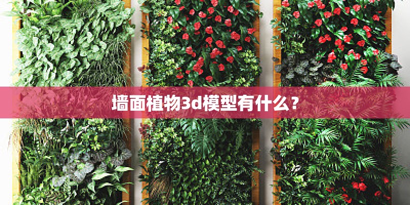 墙面植物3d模型有什么？