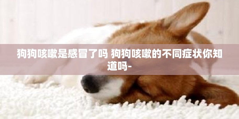 狗狗咳嗽是感冒了吗 狗狗咳嗽的不同症状你知道吗-