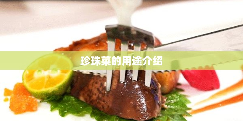 珍珠菜的用途介绍 珍珠菜的用途介绍