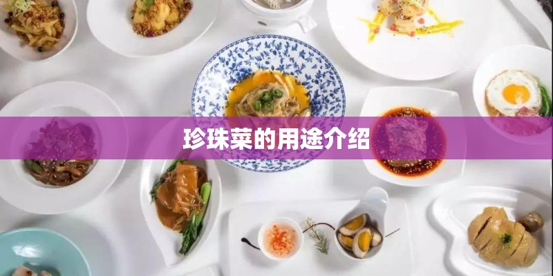 珍珠菜的用途介绍 珍珠菜的用途介绍