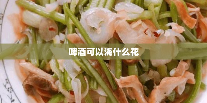 啤酒可以浇什么花