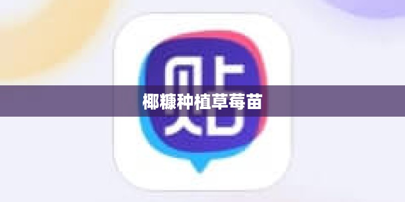 椰糠种植草莓苗