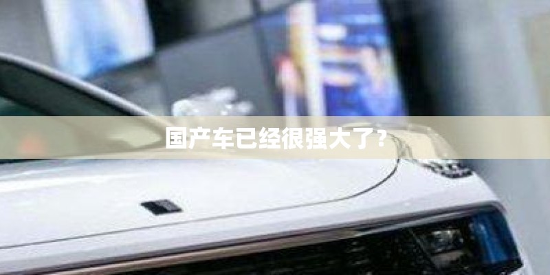 国产车已经很强大了？
