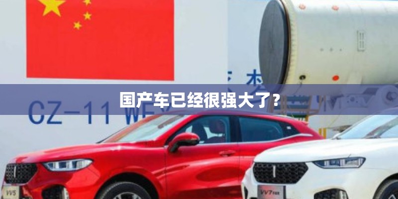 国产车已经很强大了？
