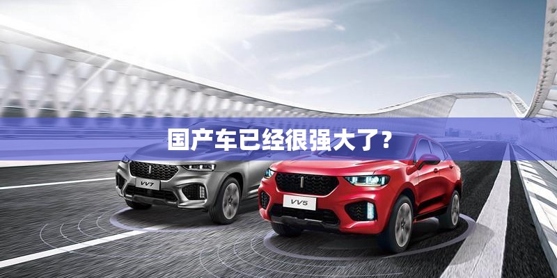 国产车已经很强大了？
