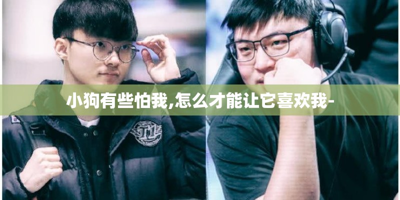 小狗有些怕我,怎么才能让它喜欢我-