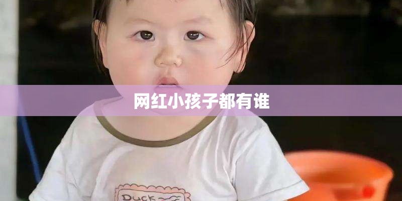 网红小孩子都有谁