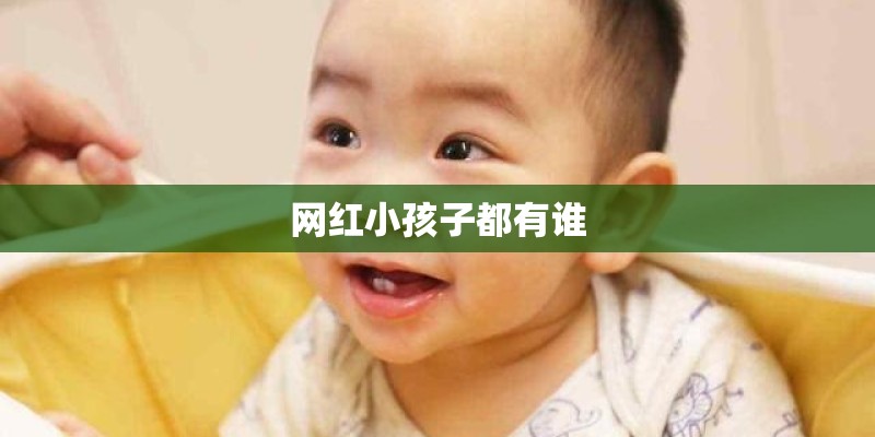 网红小孩子都有谁