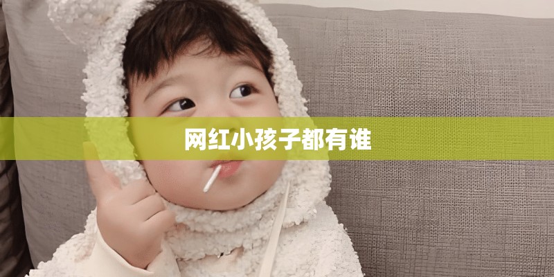 网红小孩子都有谁