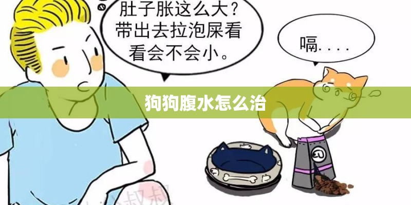 狗狗腹水怎么治