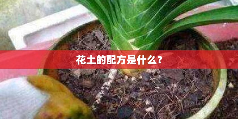 花土的配方是什么？