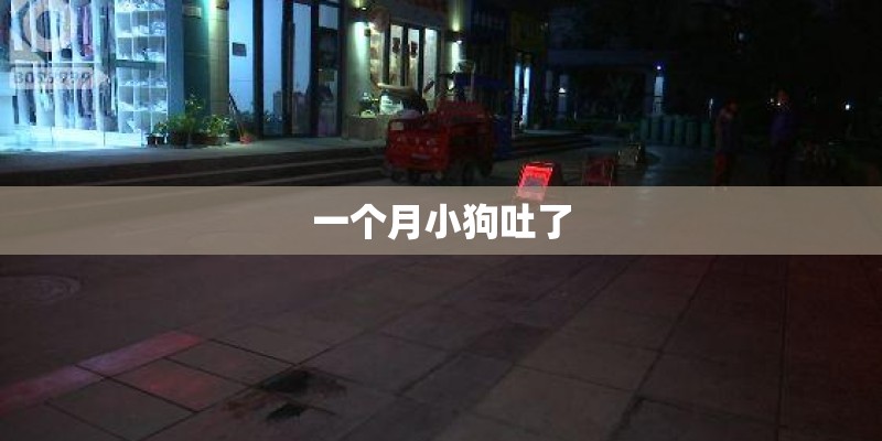 一个月小狗吐了