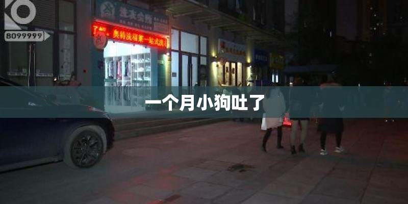 一个月小狗吐了