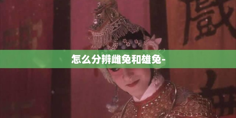 怎么分辨雌兔和雄兔-