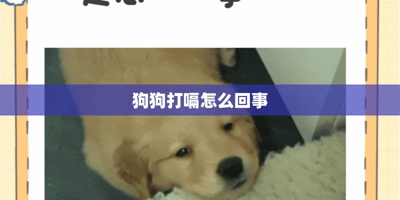 狗狗打嗝怎么回事
