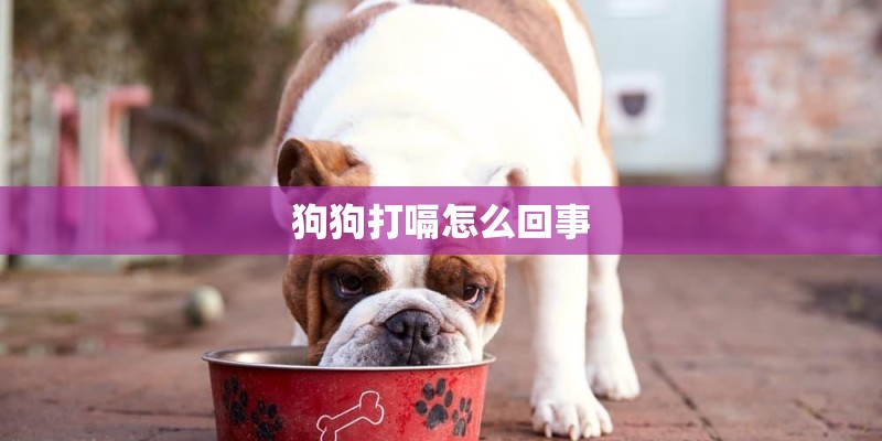 狗狗打嗝怎么回事
