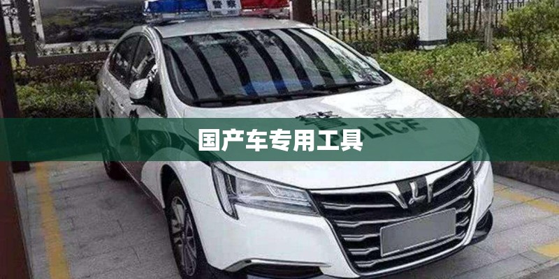 国产车专用工具