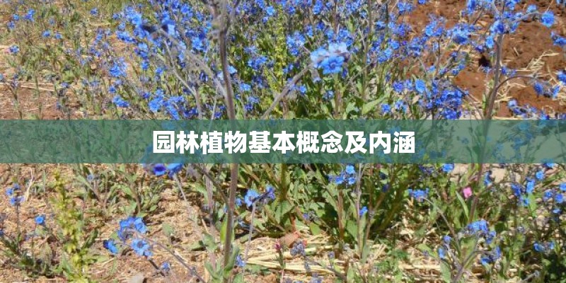 园林植物基本概念及内涵