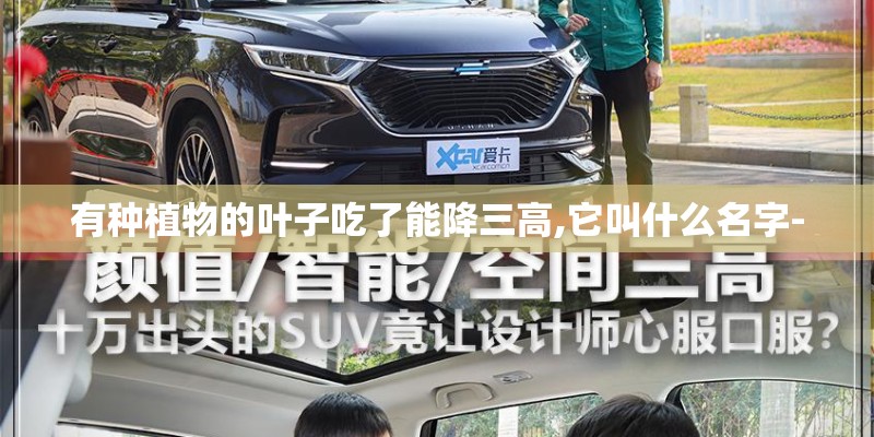 有种植物的叶子吃了能降三高,它叫什么名字-