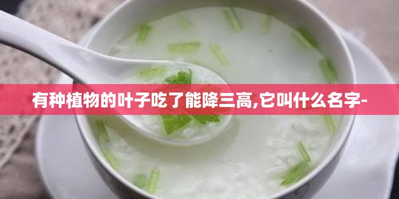 有种植物的叶子吃了能降三高,它叫什么名字-