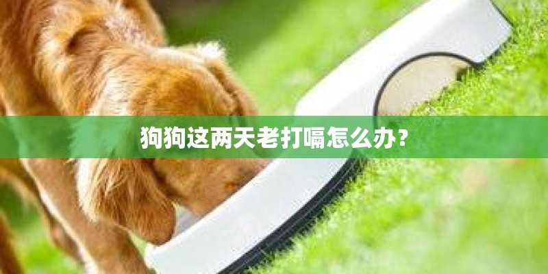 狗狗这两天老打嗝怎么办? 狗狗这两天老打嗝怎么办?