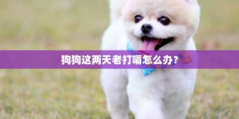 狗狗这两天老打嗝怎么办? 狗狗这两天老打嗝怎么办?