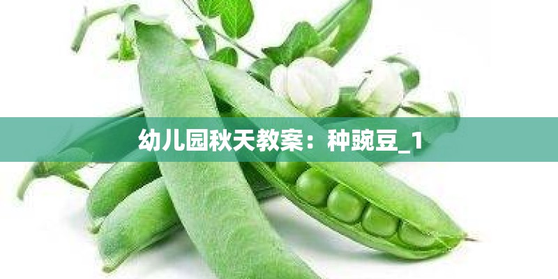 幼儿园秋天教案：种豌豆_1
