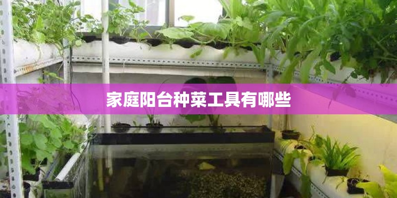 家庭阳台种菜工具有哪些