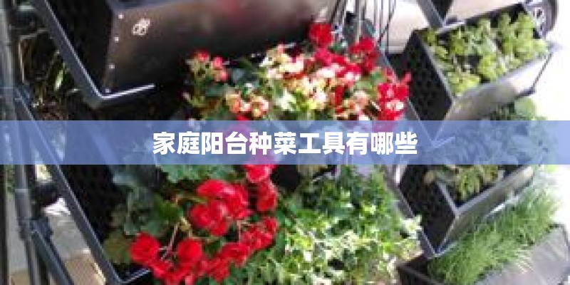 家庭阳台种菜工具有哪些