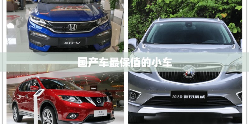 国产车最保值的小车