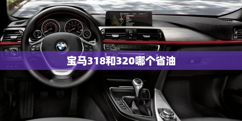 宝马318和320哪个省油