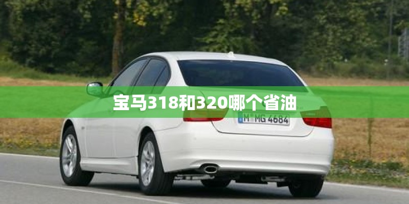 无花果树苗种植方法