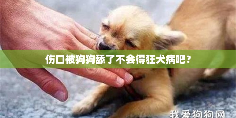 伤口被狗狗舔了不会得狂犬病吧？