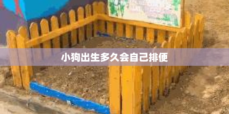 小狗出生多久会自己排便