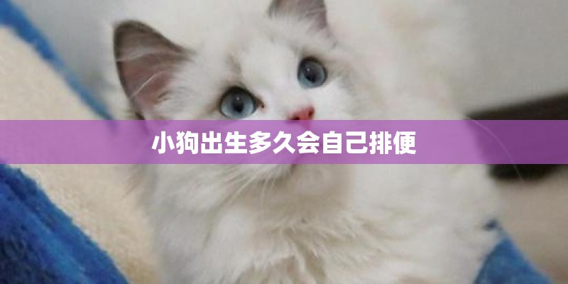 小狗出生多久会自己排便