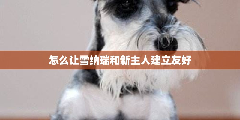 怎么让雪纳瑞和新主人建立友好