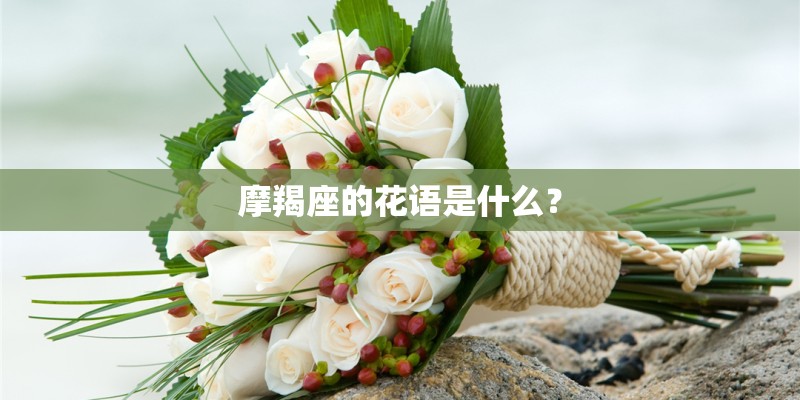 摩羯座的花语是什么？