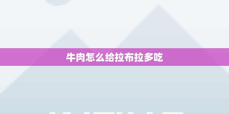 牛肉怎么给拉布拉多吃