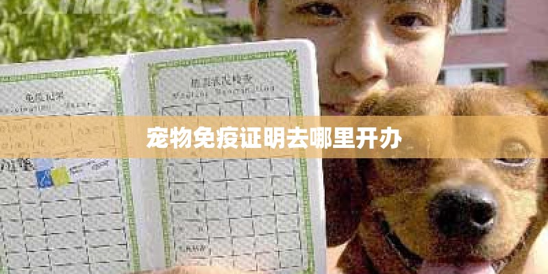 宠物免疫证明去哪里开办