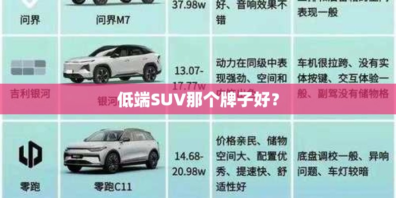 低端SUV那个牌子好？