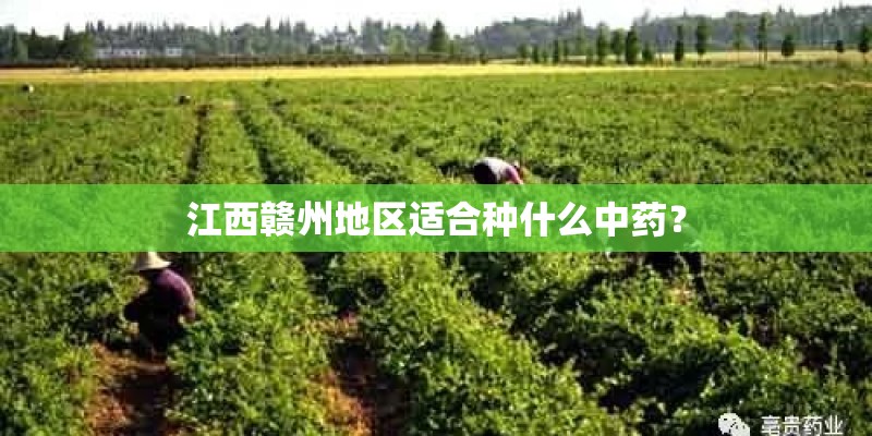 江西赣州地区适合种什么中药？
