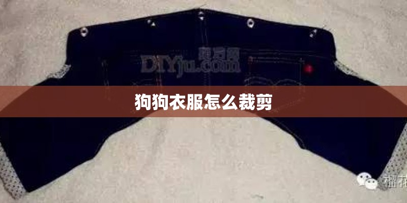 狗狗衣服怎么裁剪