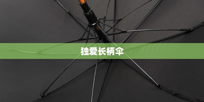 独爱长柄伞