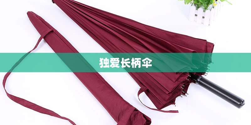 独爱长柄伞