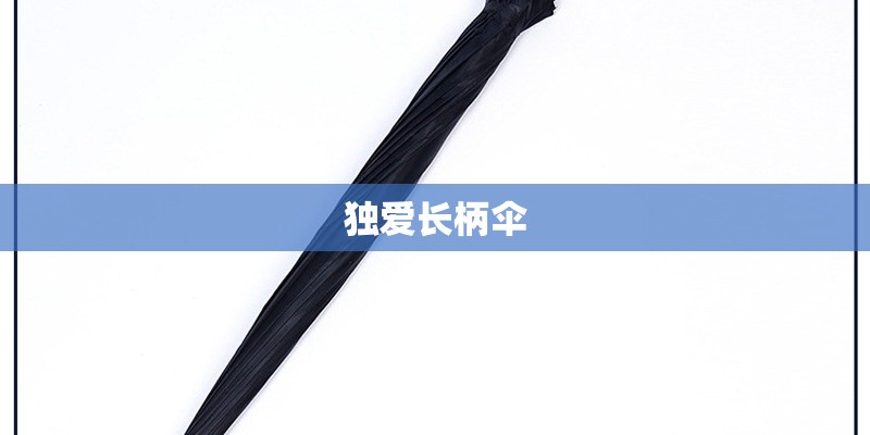 独爱长柄伞