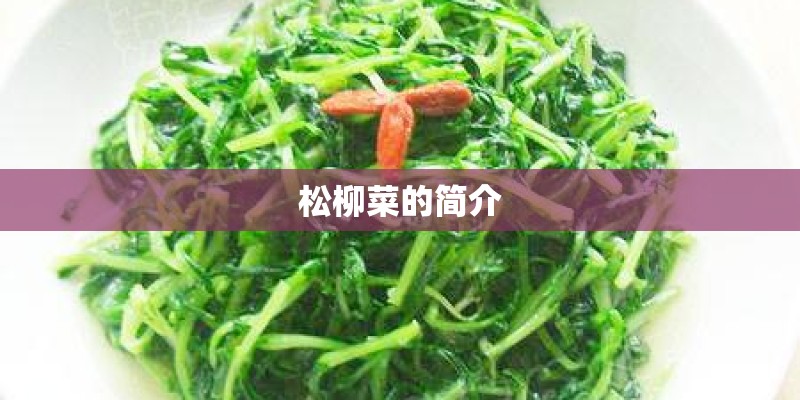 松柳菜的简介
