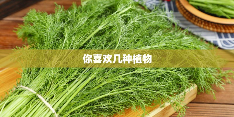 你喜欢几种植物 你喜欢几种植物