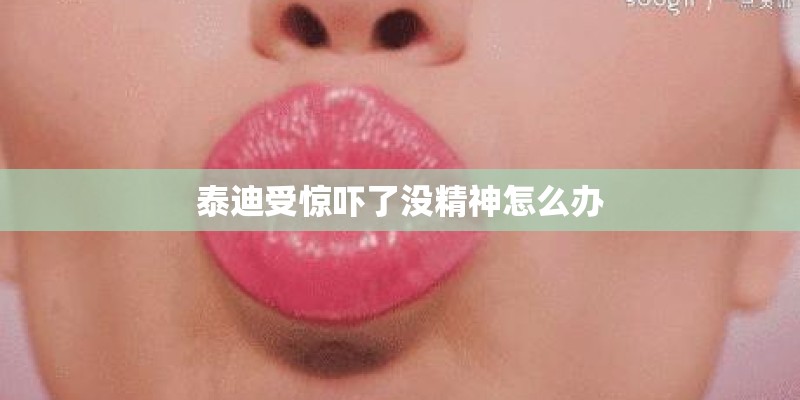 泰迪受惊吓了没精神怎么办